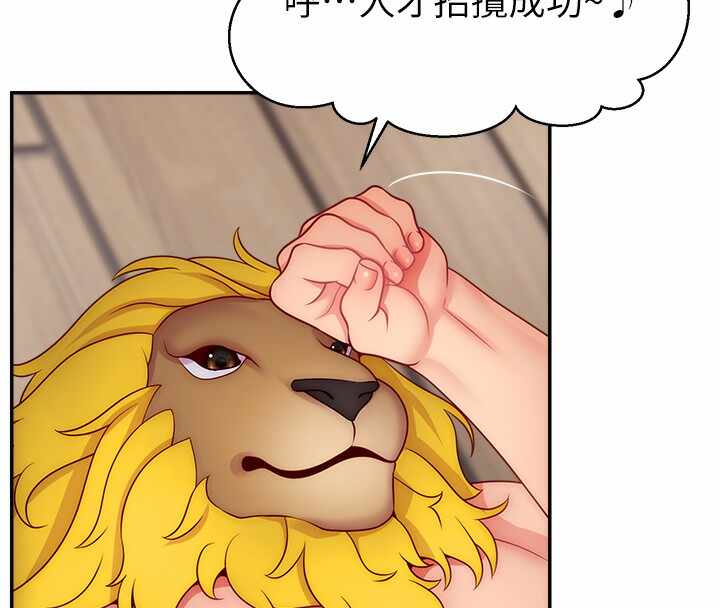 第136张