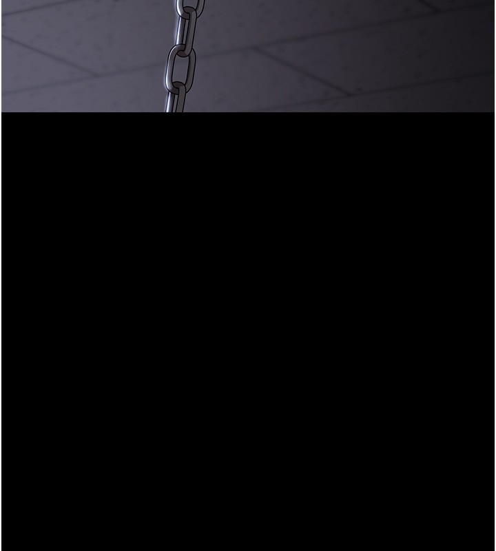 第41张