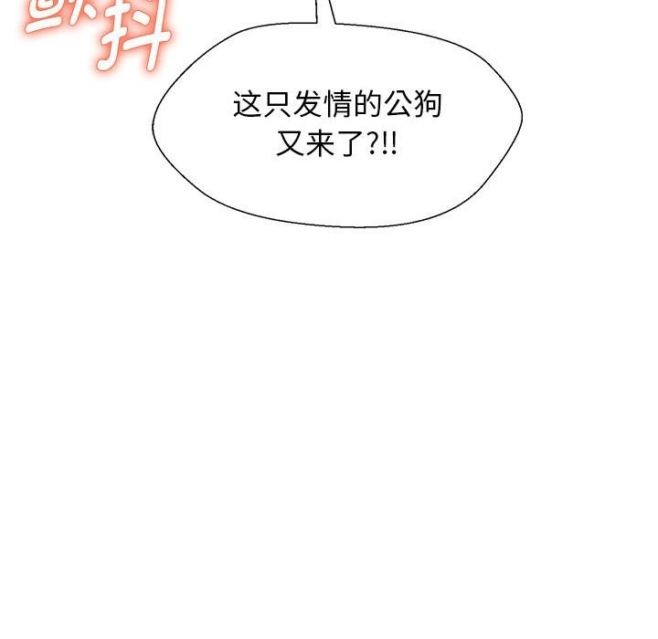 第5张