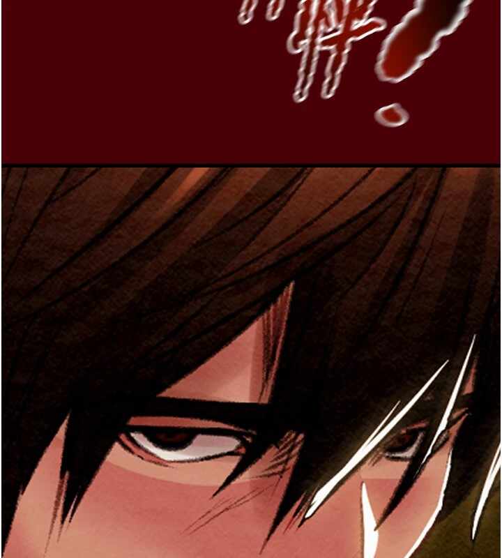 第213张