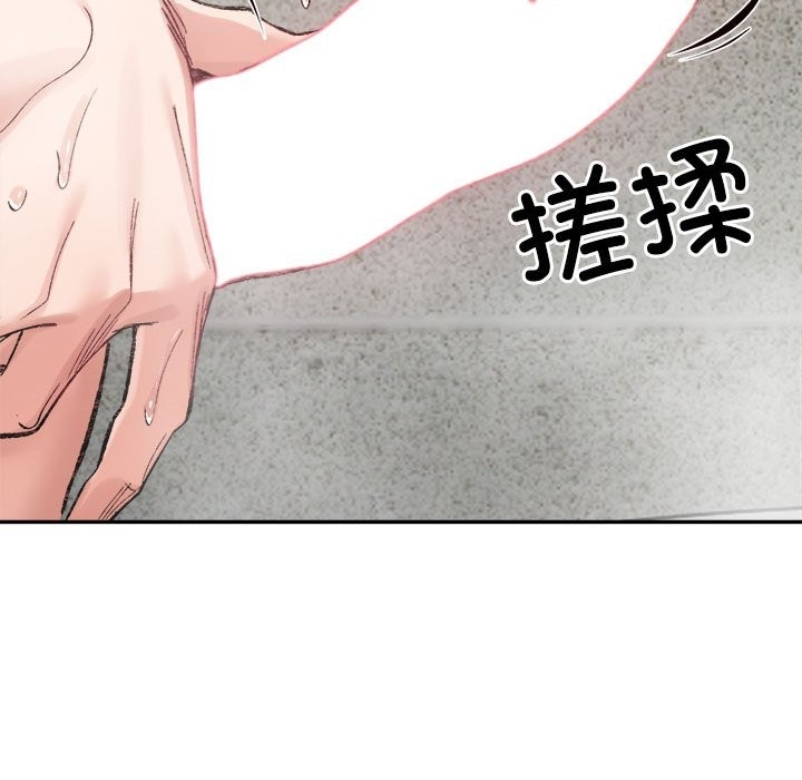 第12张