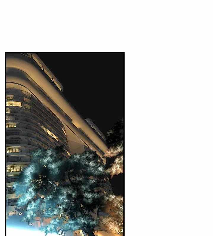 第6张