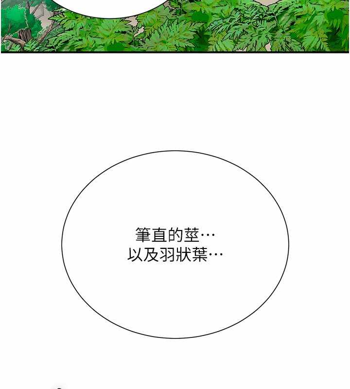 第97张