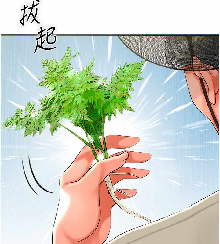第99张