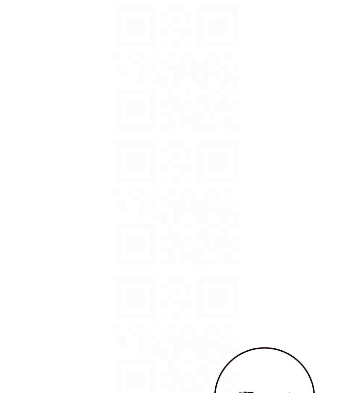 第48张