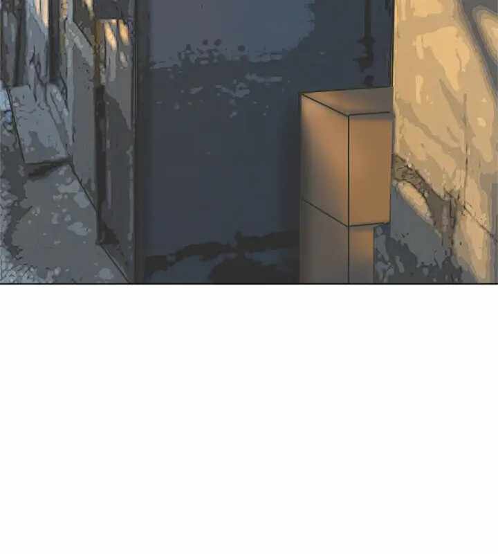 第5张