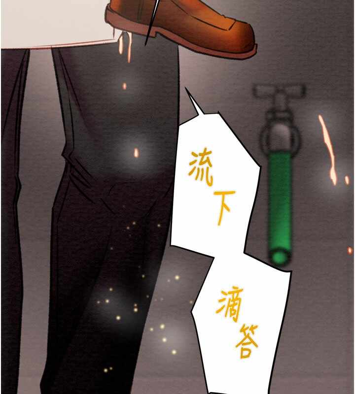 第212张