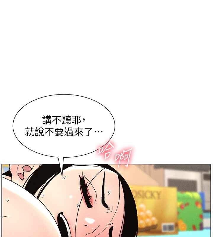 第116张