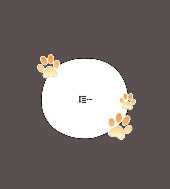 第44张