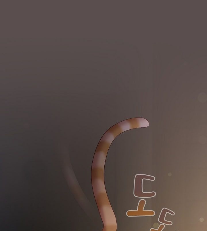 第46张