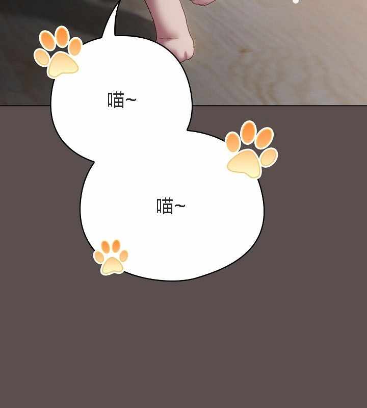 第53张