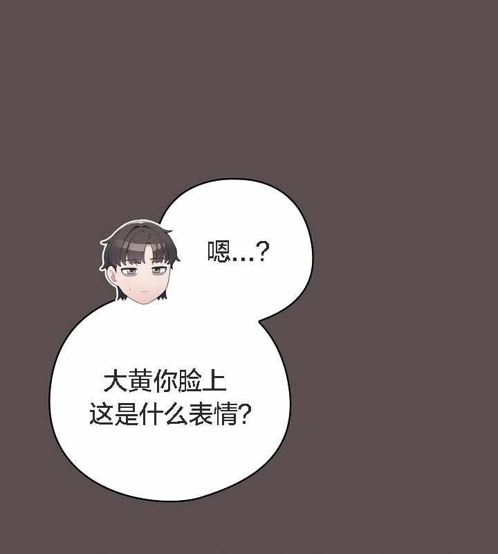 第81张