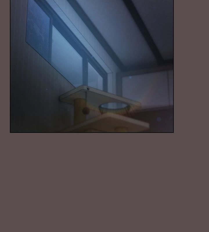 第33张
