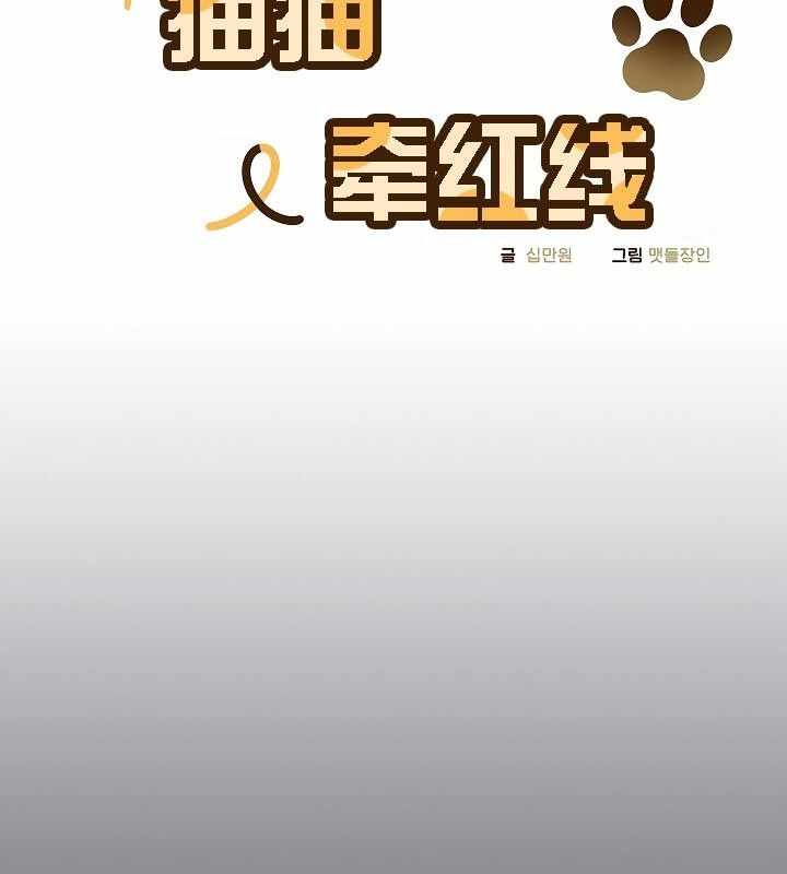 第30张
