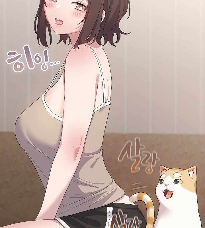 第52张