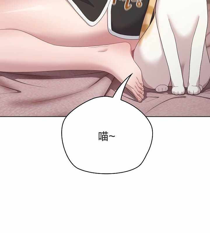 第54张