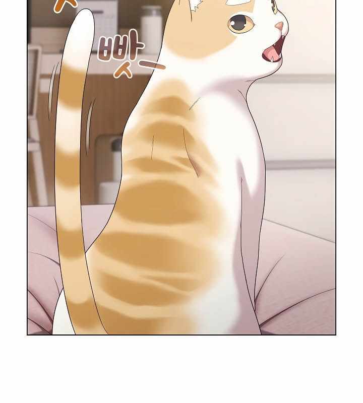 第58张