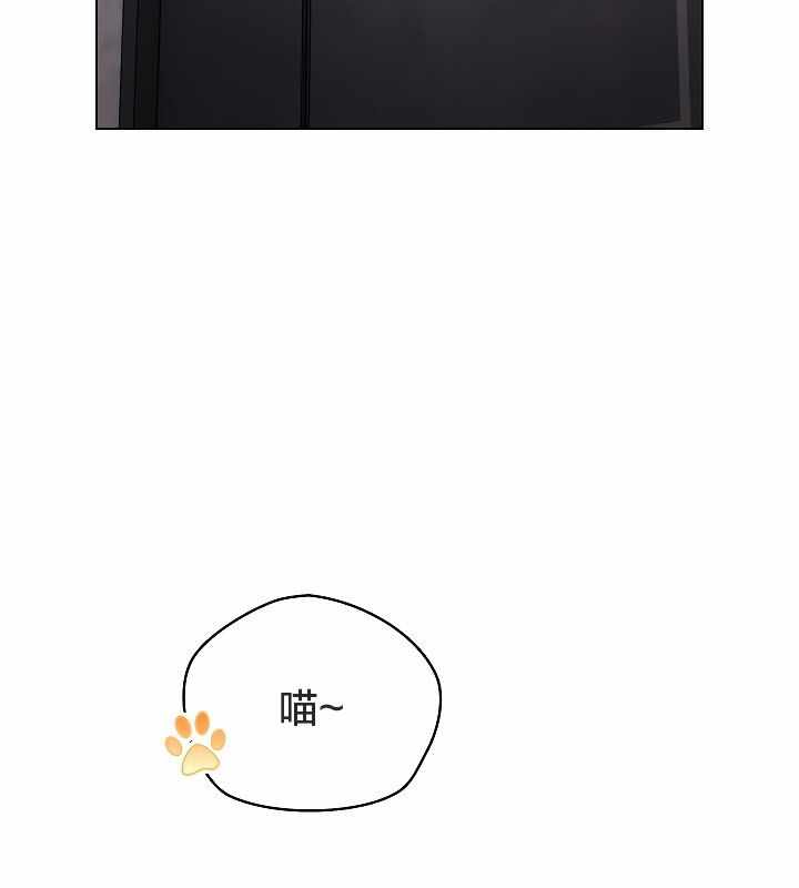 第12张