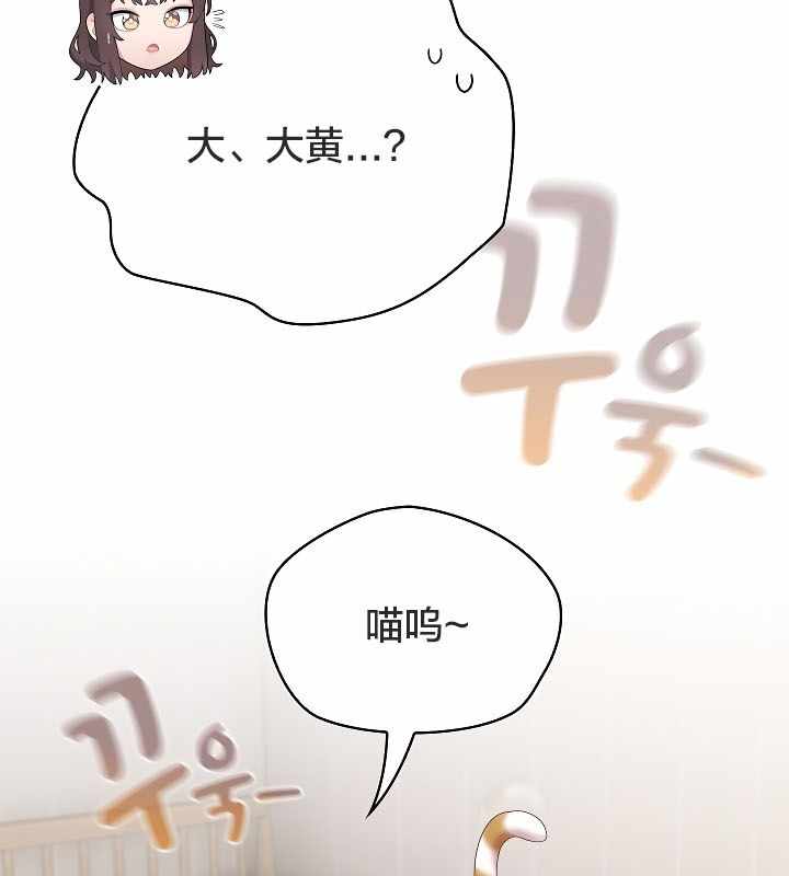 第17张