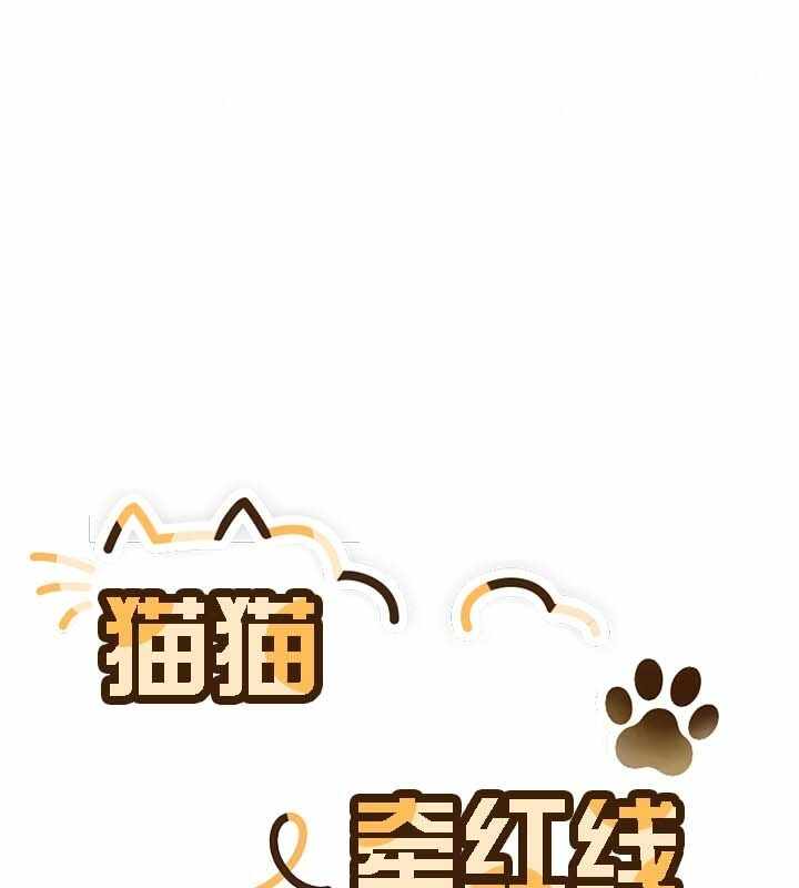 第111张