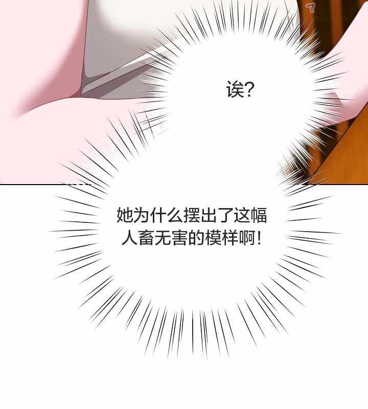 第5张