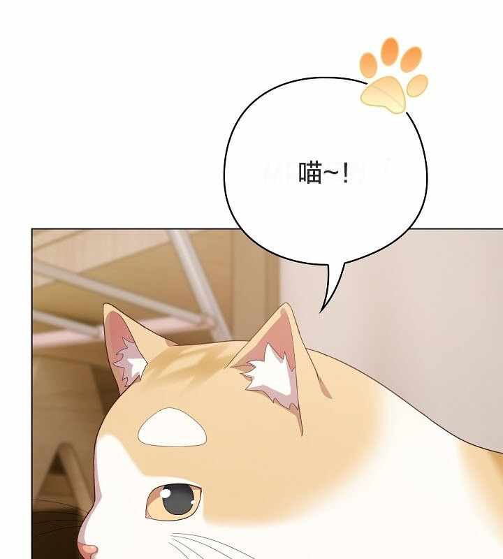 第10张