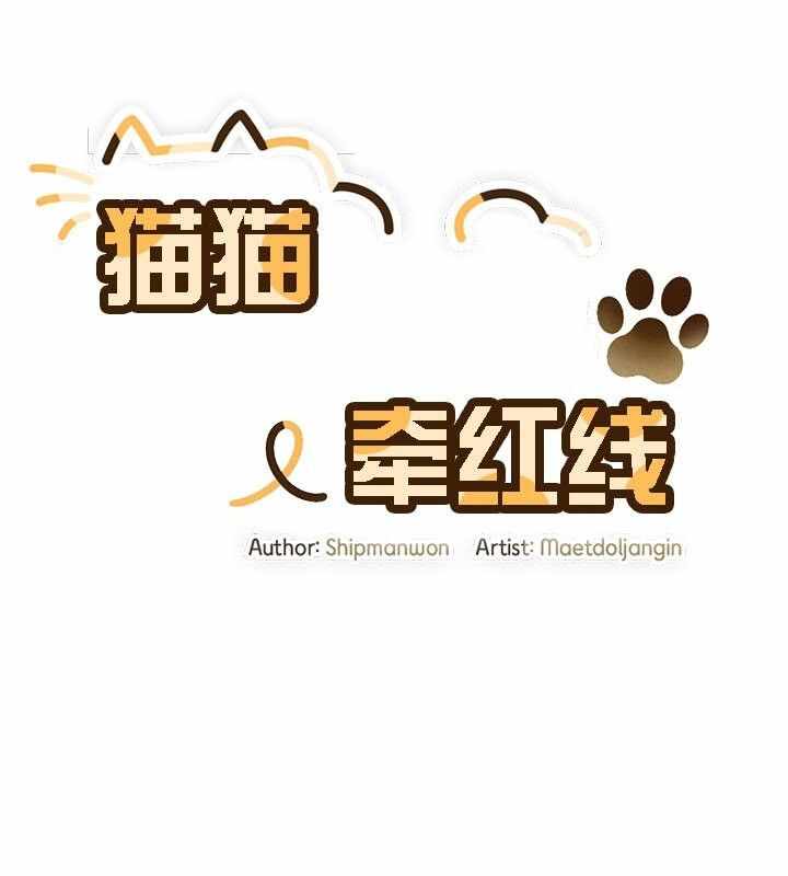 第11张