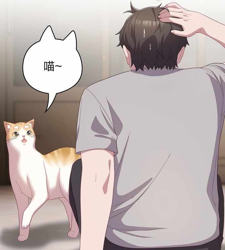 第155张