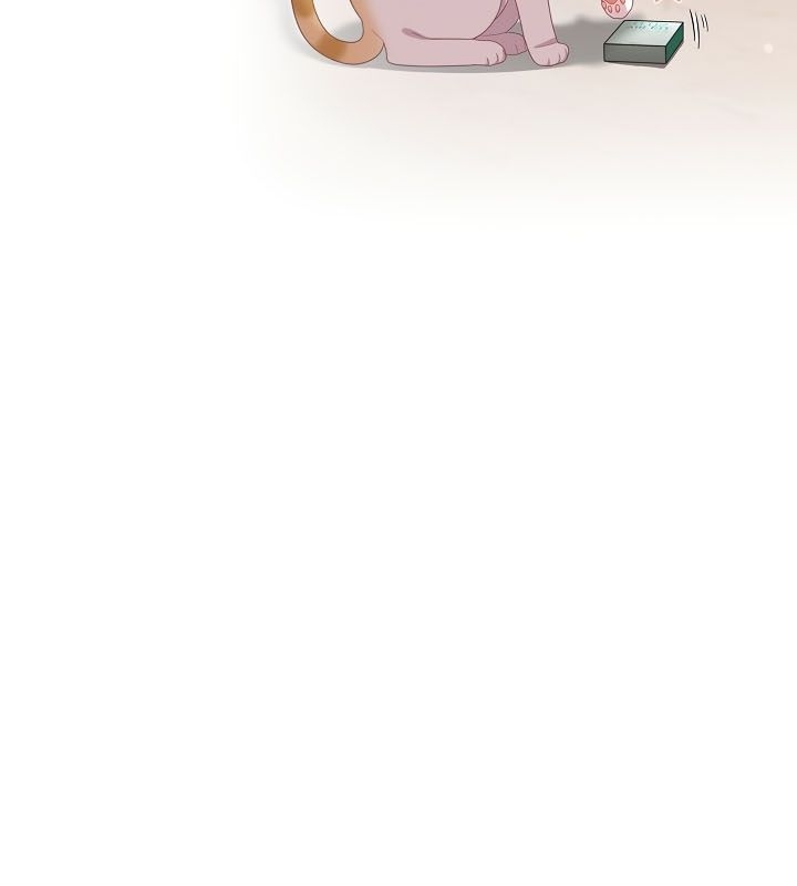 第80张