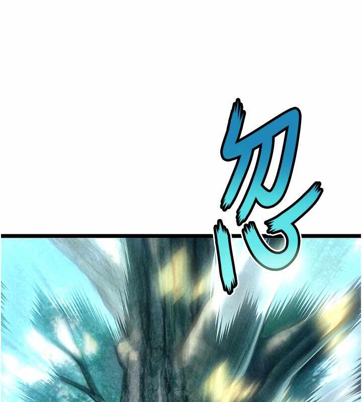 第62张
