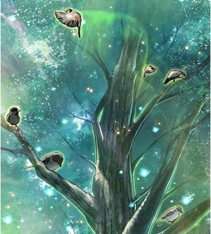 第70张