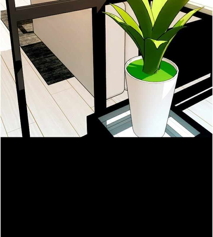 第4张