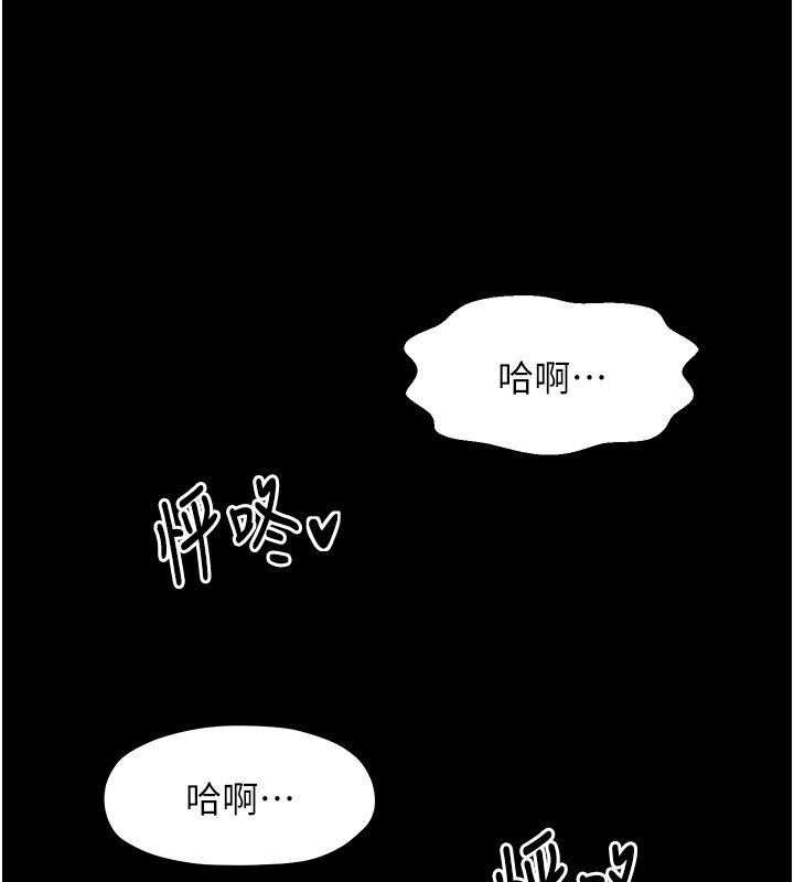 第43张