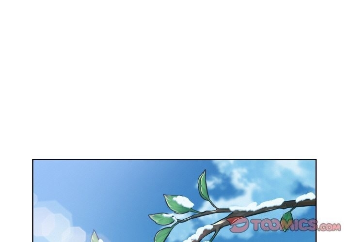 第6张