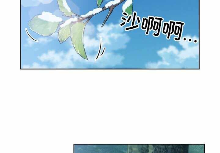 第7张