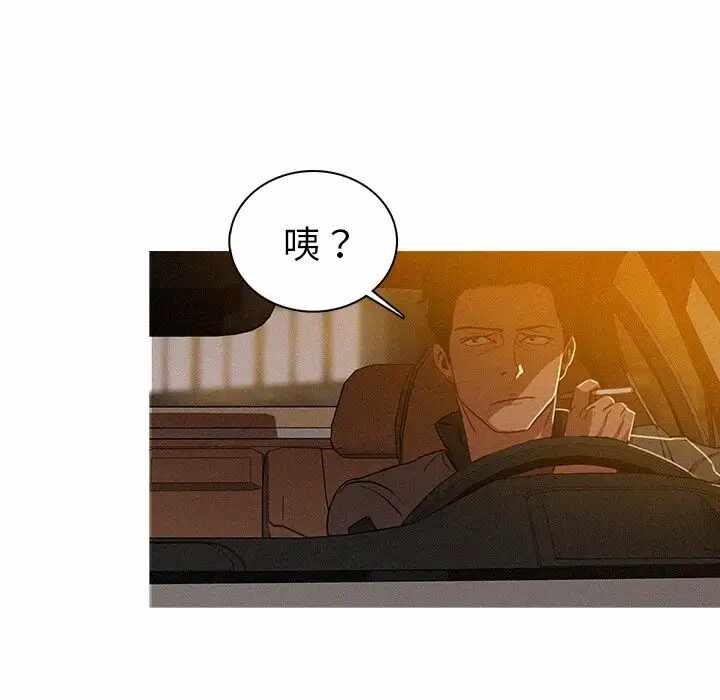 第54张