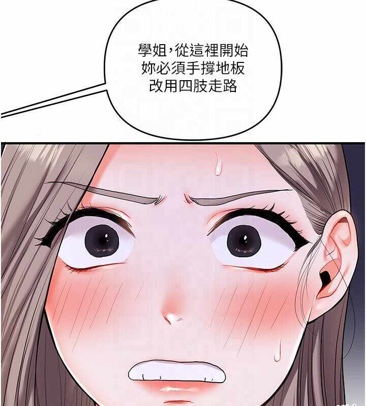 第148张