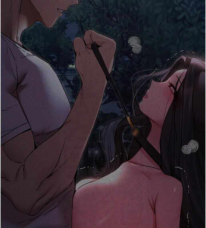 第172张