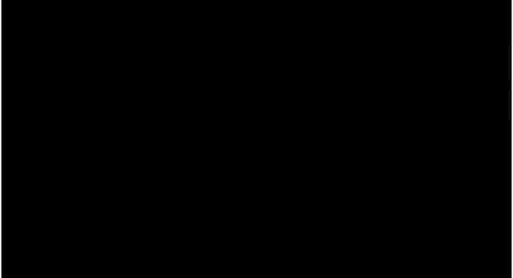 第58张