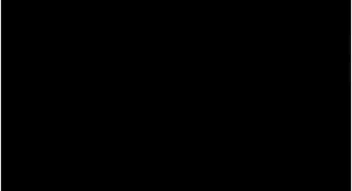 第125张