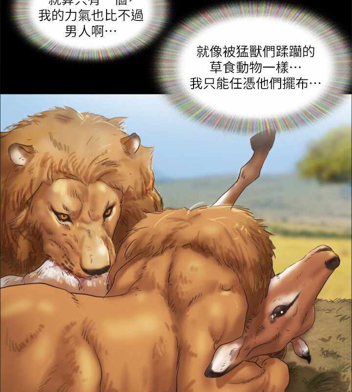 第41张