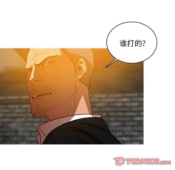 第42张