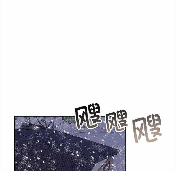 第12张