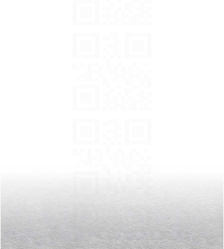 第41张