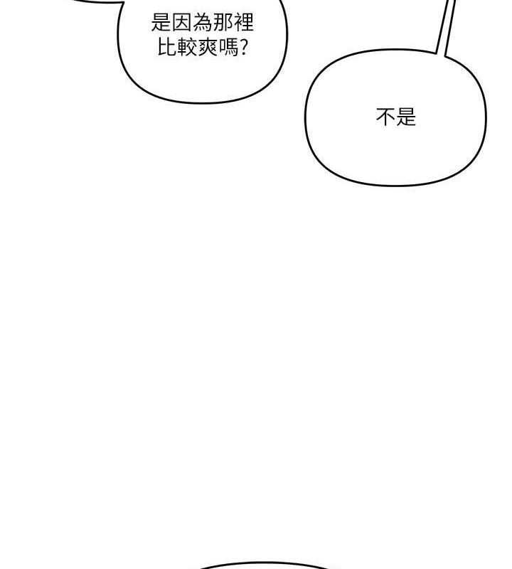 第113张