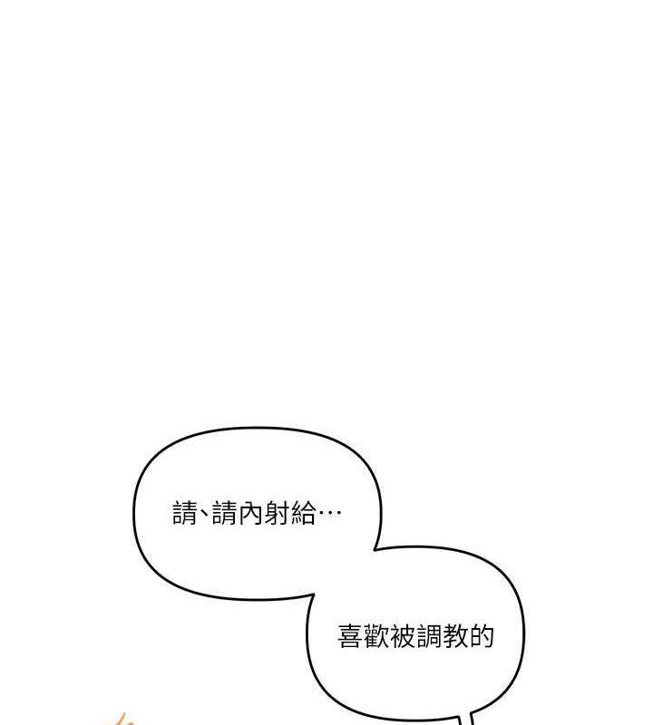 第163张