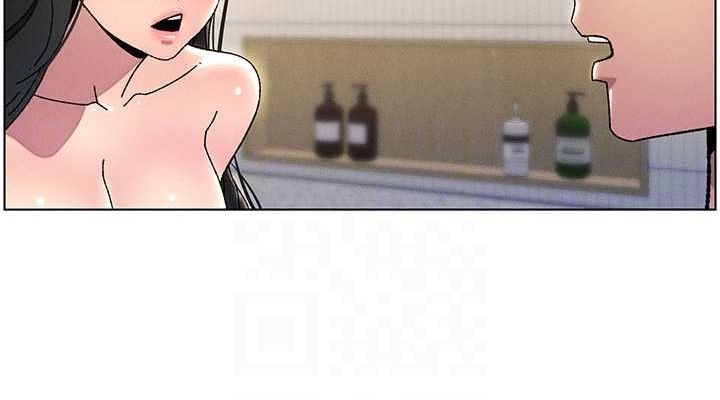 第3张