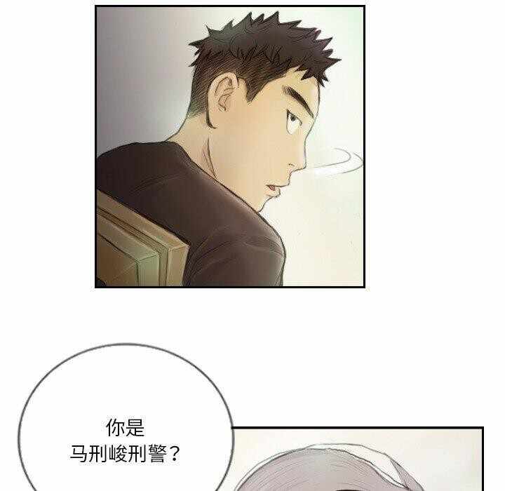 第41张