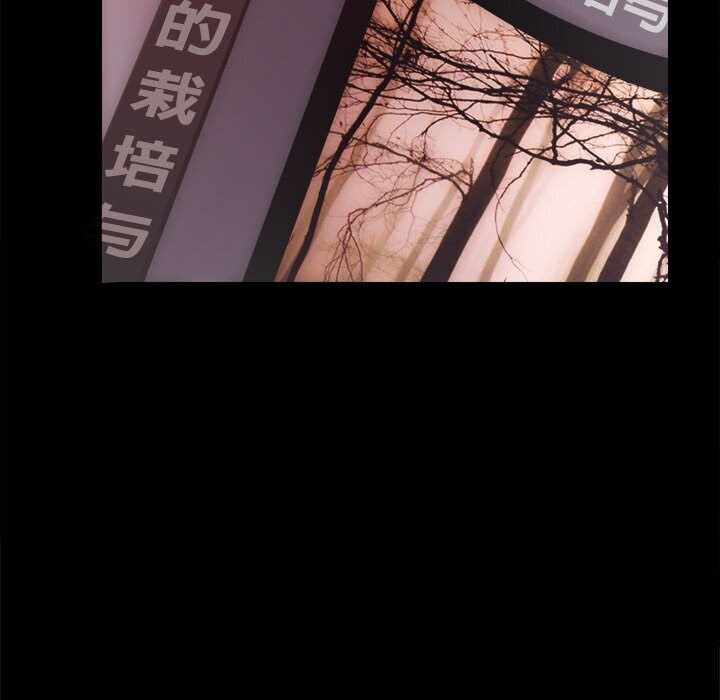 第16张