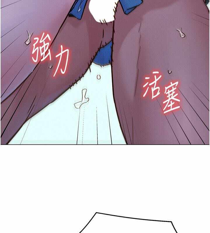 第6张